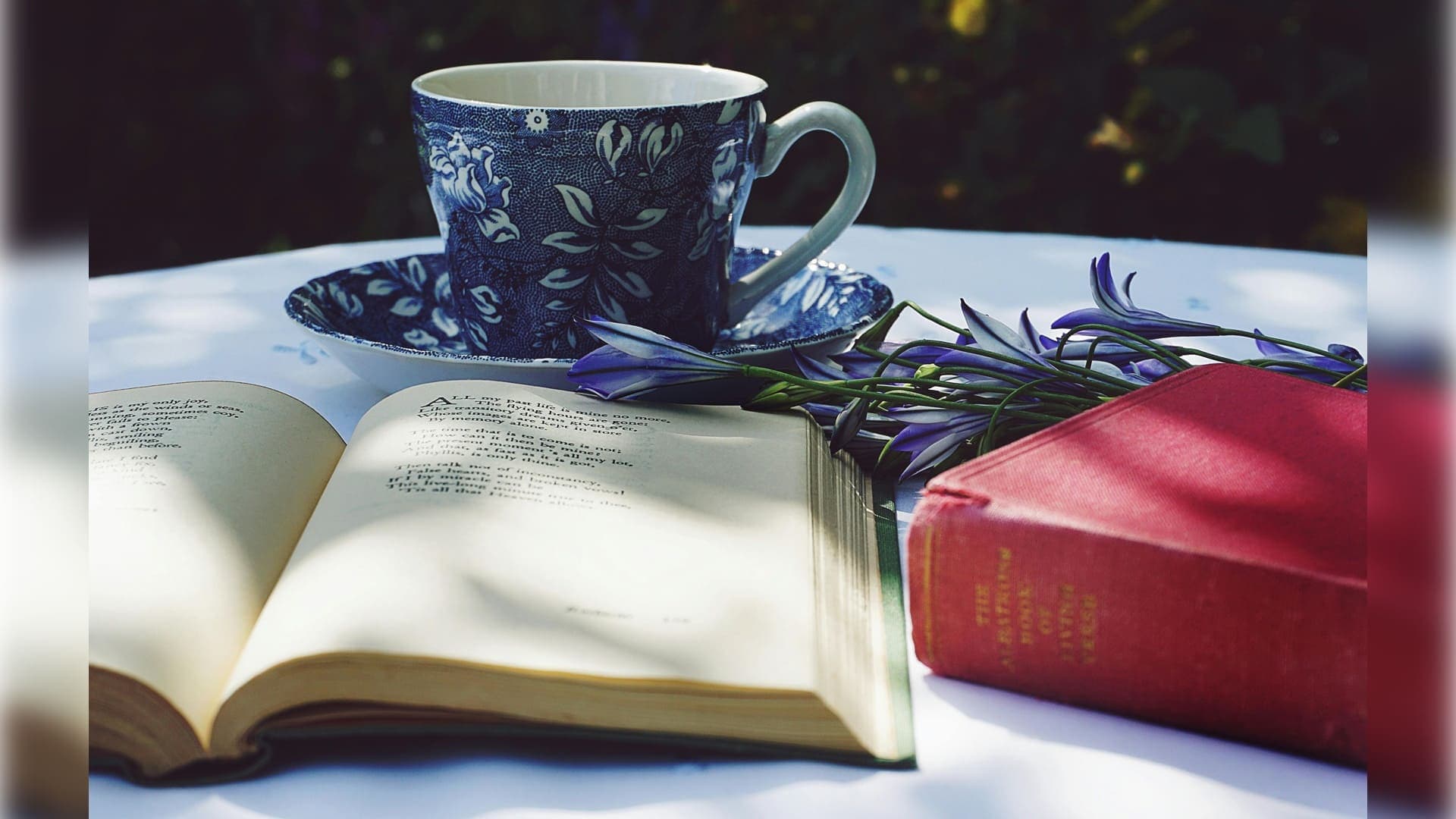 Reading for Mental Health How Books Can Calm Heal and Inspire 1.jpg