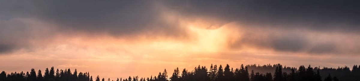 Sunrise glow over a tree line: Arabian Business profile of the Soula app