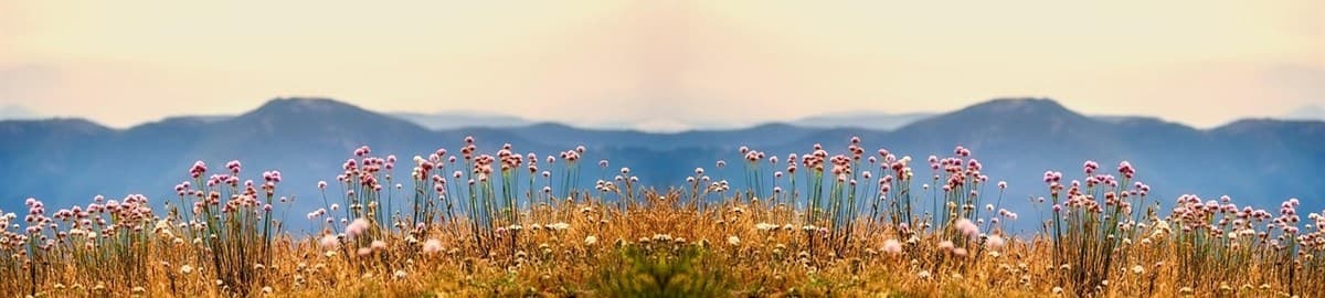 Flower meadow with hazy hills: Buro 24/7 on Natalia Vodianova joining Soula