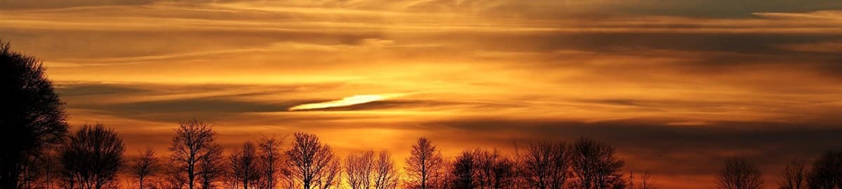 Sunset behind bare trees: Inc. column mentioning Soula