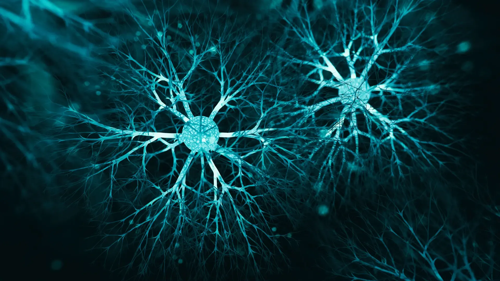 polyvagal-theory-nervous-system-states.webp