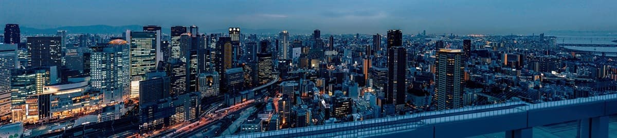 Osaka skyline at blue hour: Startups Magazine on the founder of Soula