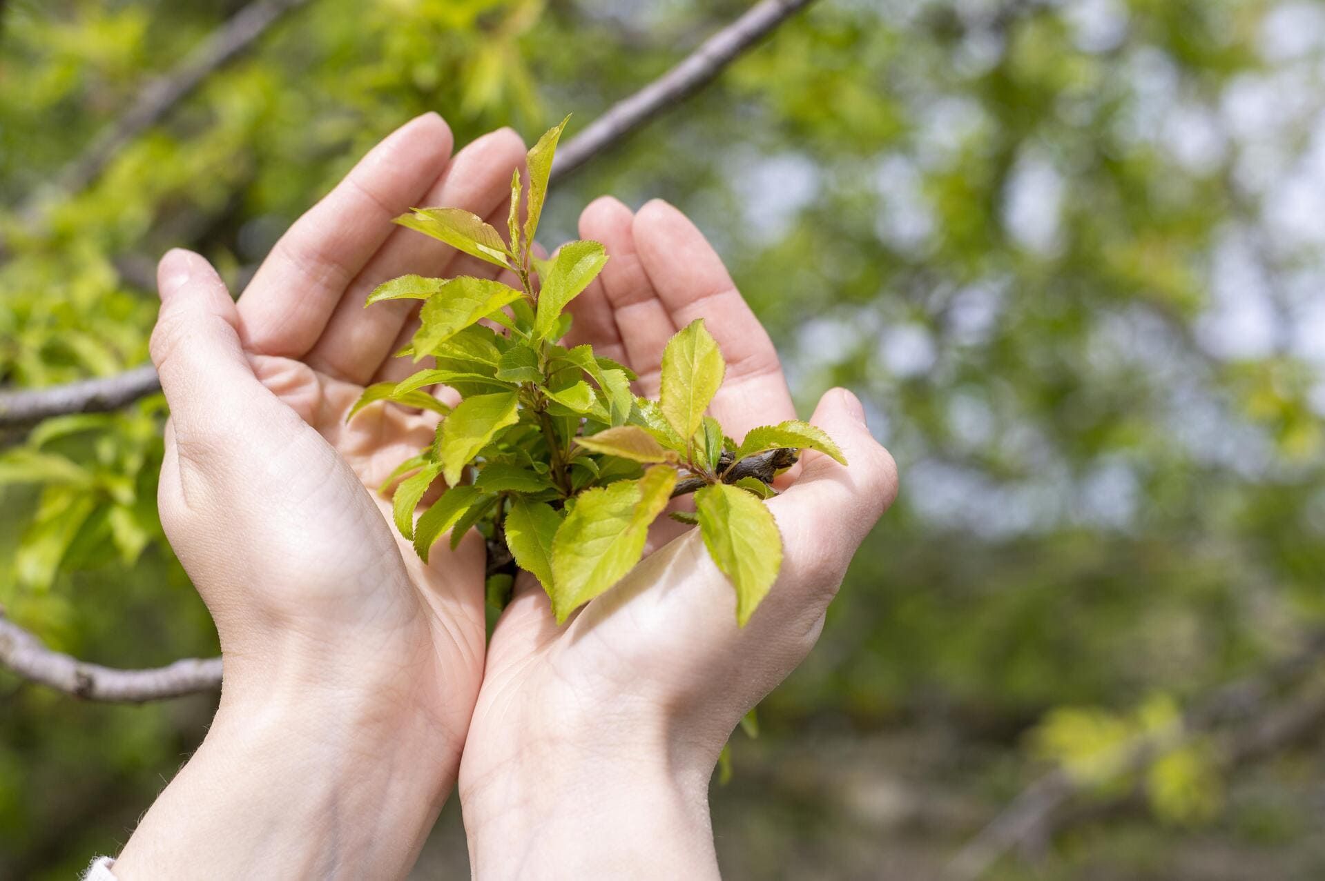 Eco-Anxiety: How to Understand and Live With Climate Fear