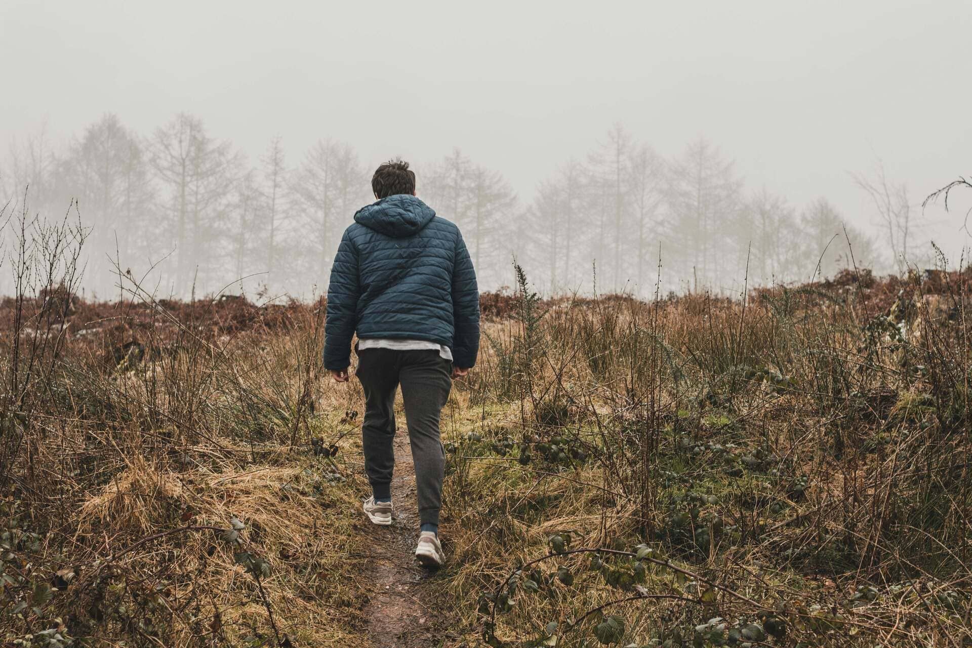 What Is the Vagus Nerve? The Surprising Key to Stress Relief and Mental Health