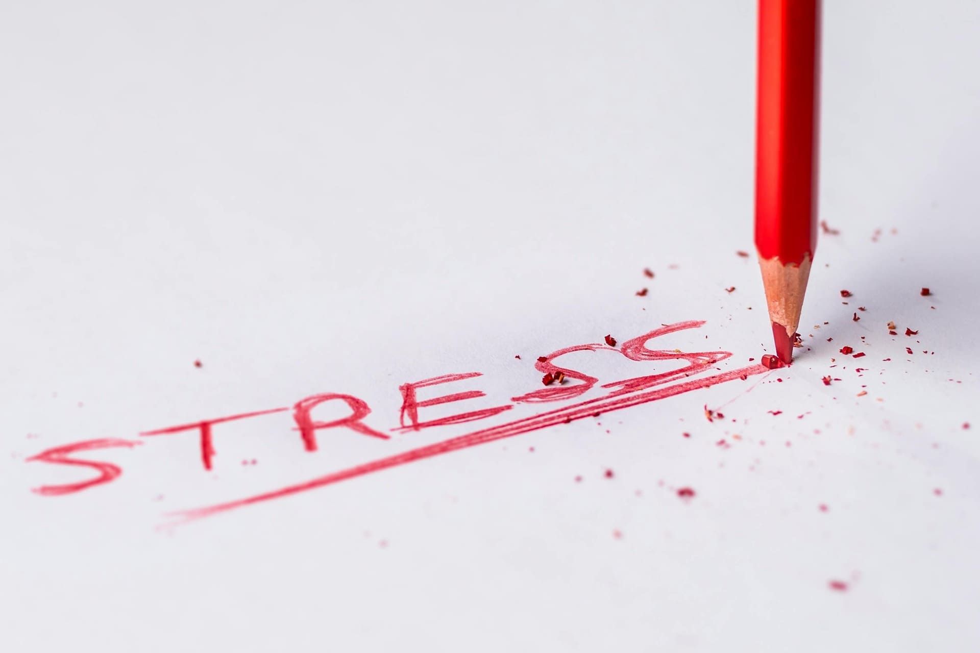 Can Stress Make Your Heart Hurt? A Gentle Look at a Very Real Feeling