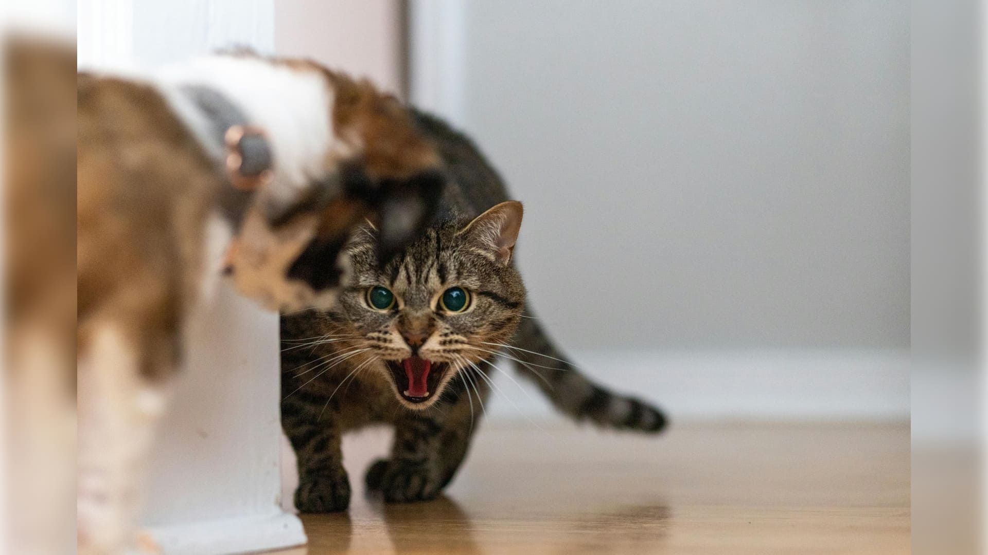 What Is Mom Rage? Signs, Causes, and Ways to Heal
