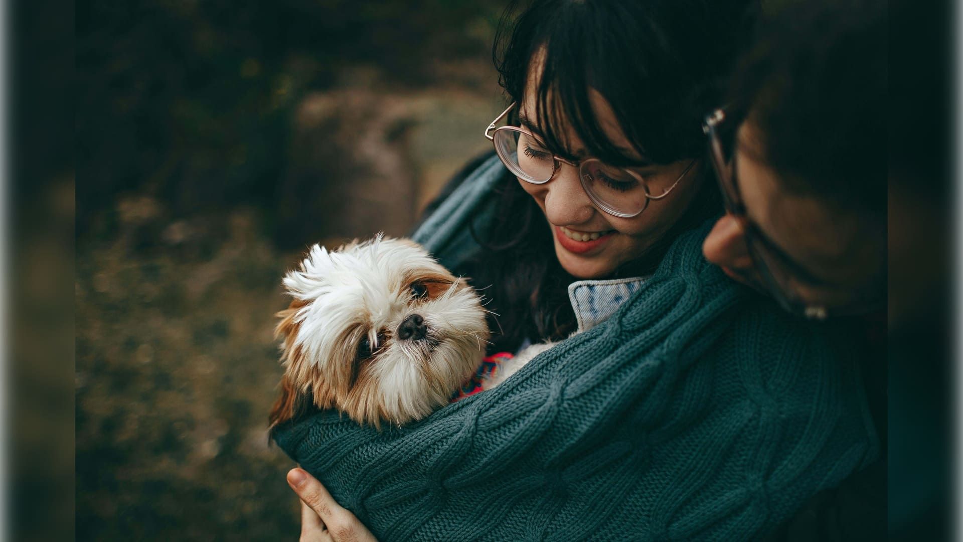 Pets and Mental Health: How Animals Support Your Well-Being