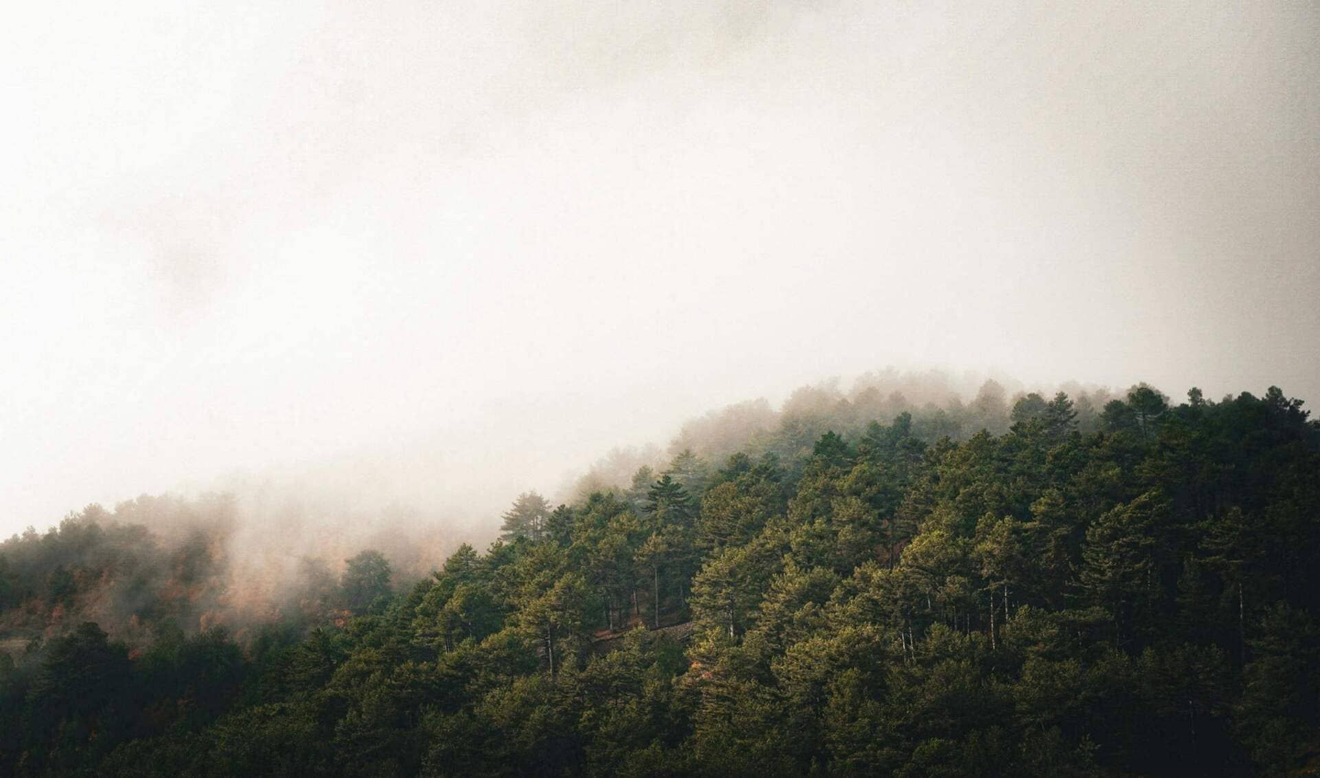 Air Hunger and Anxiety: How to Stop Feeling Like You Can’t Breathe