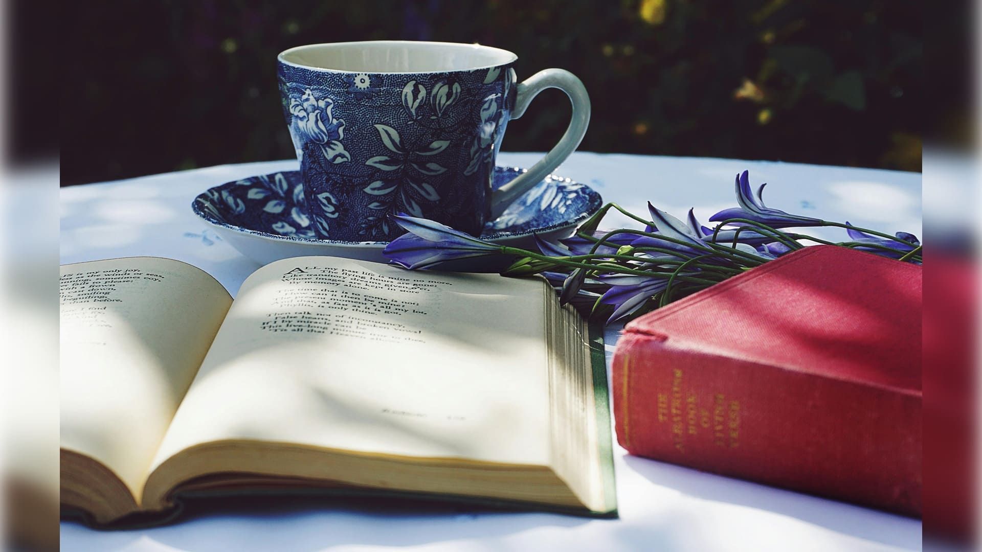 Reading for Mental Health: How Books Can Calm, Heal, and Inspire