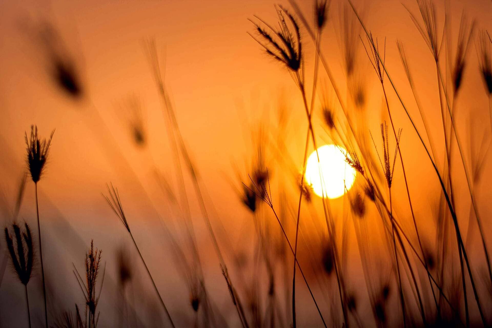 Does Sunlight Help with Anxiety?