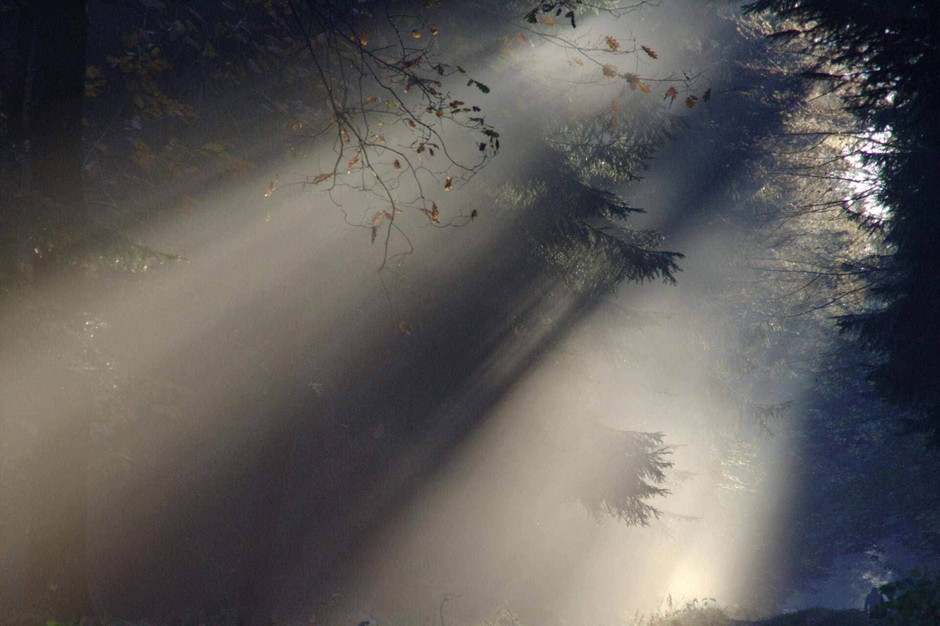 How to Get Rid of Brain Fog: Clear Your Mind and Boost Focus