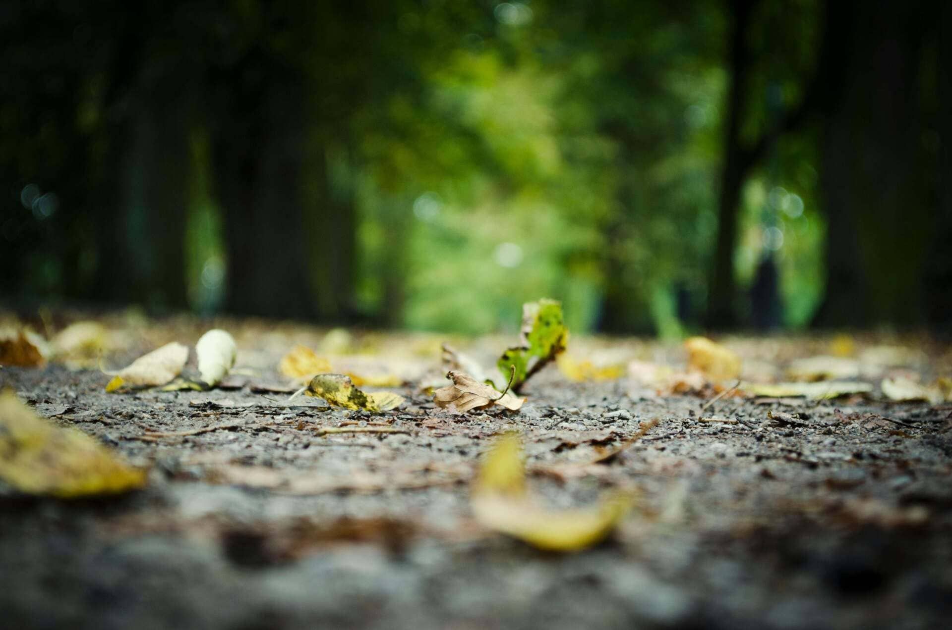 What Is Grounding? Simple Techniques to Calm Your Mind and Body