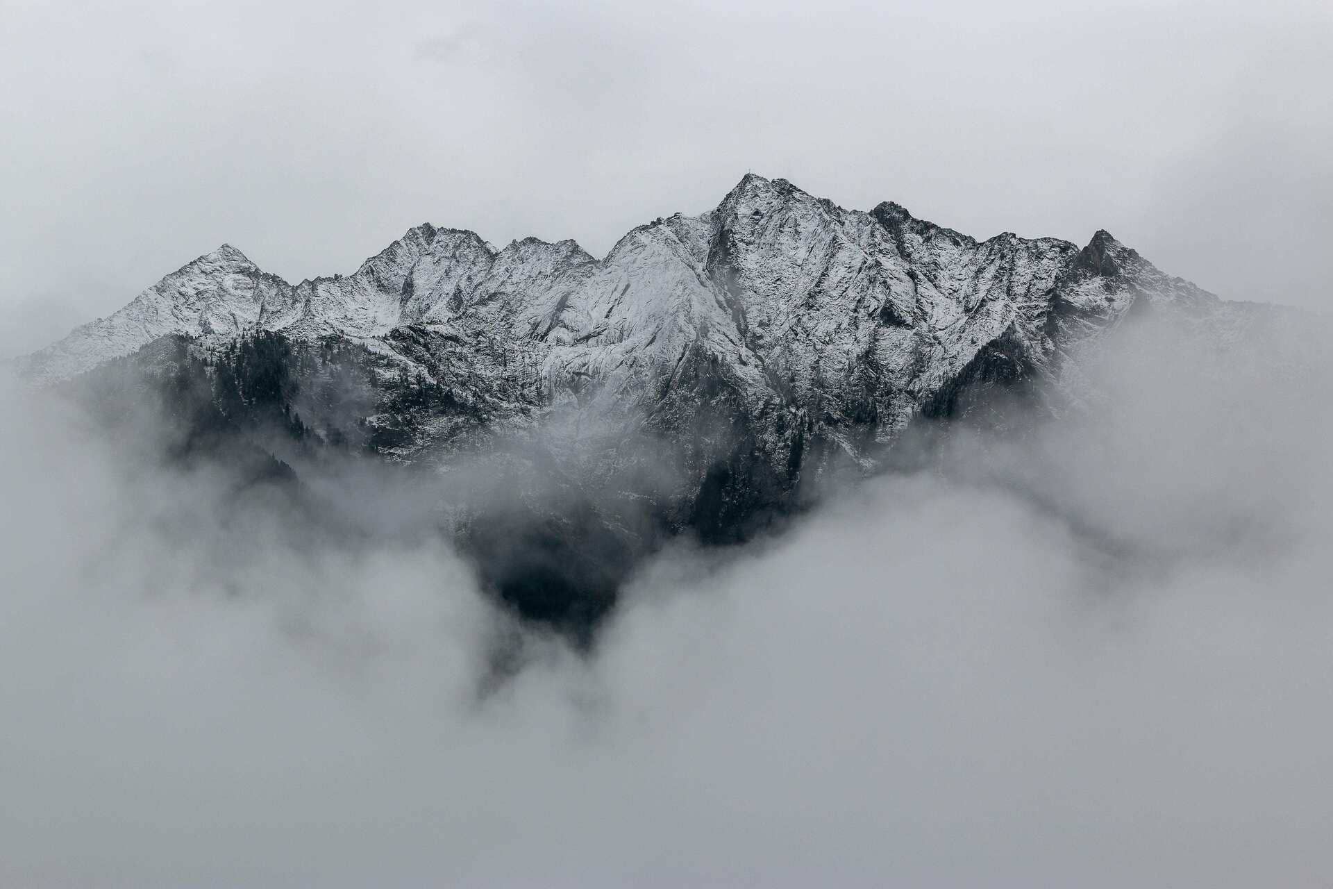 Mental Fog Remedies: How to Get Rid of Mental Fog and Think Clearly Again