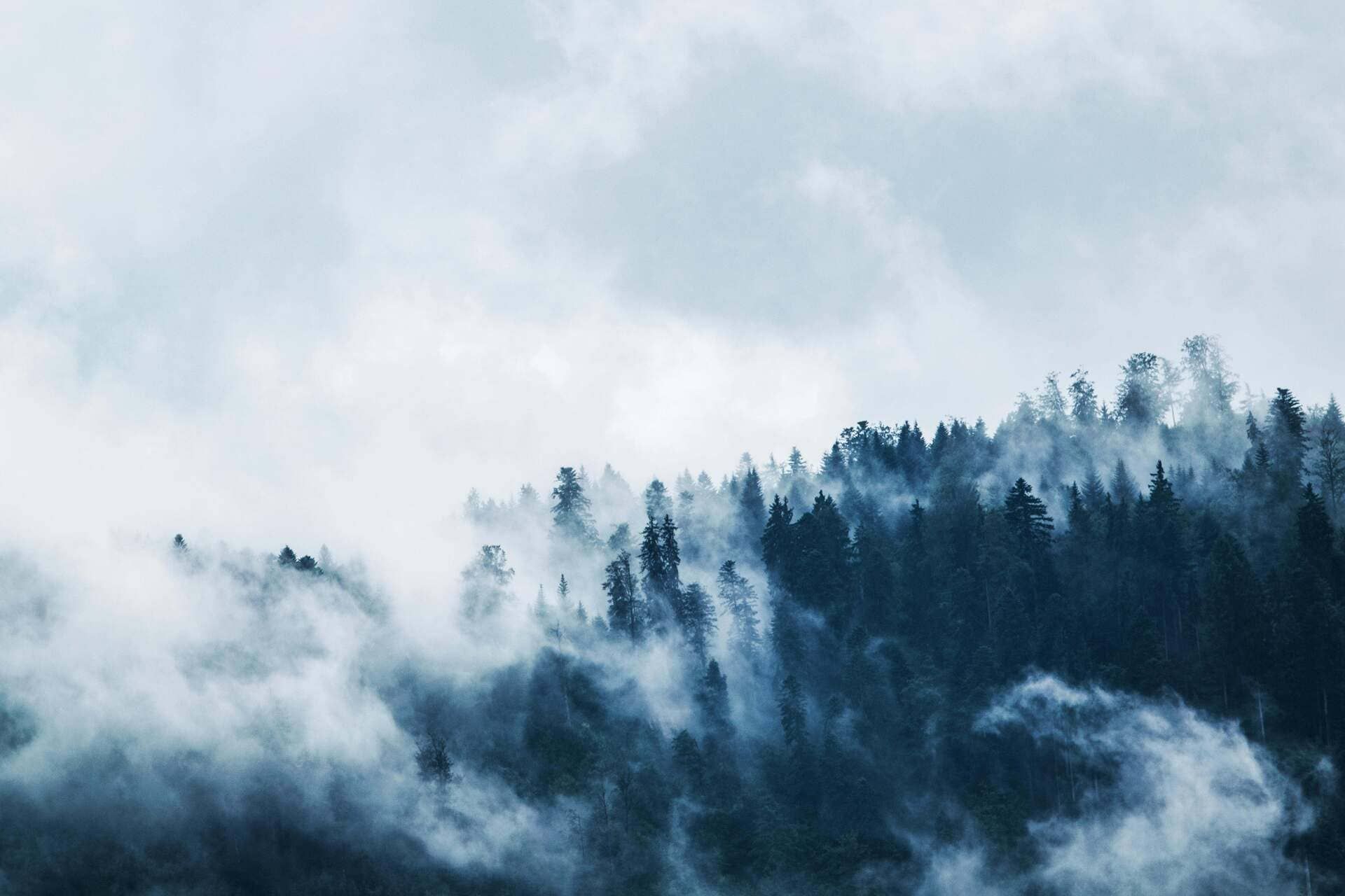 What Helps with Brain Fog: Proven Ways to Regain Clarity and Focus