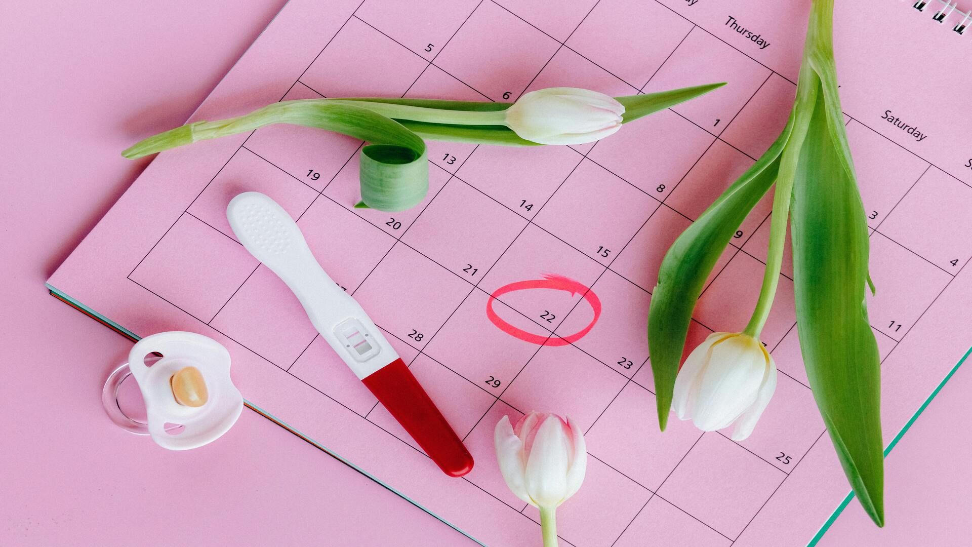 Ovulation Calendar How to Calculate Your Fertile Days